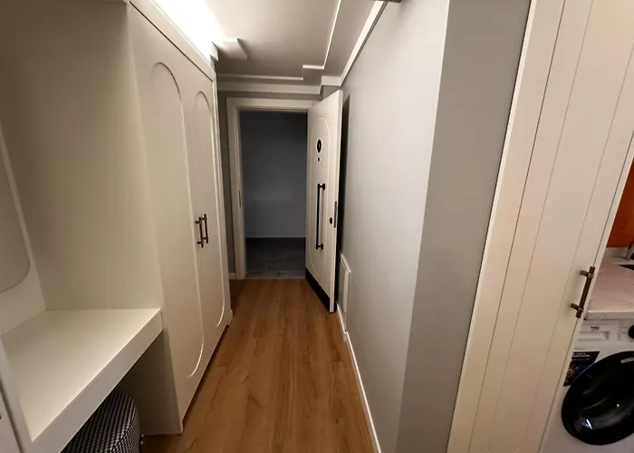 Otto Tunali アンカラ